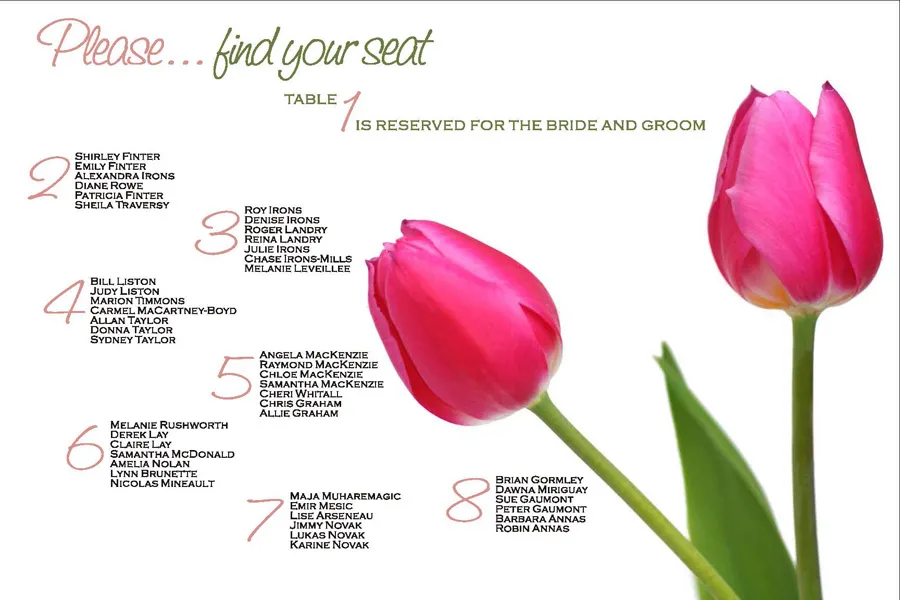 Pink Lemonade Seating Chart
