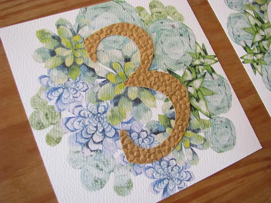 Succulents Table Number