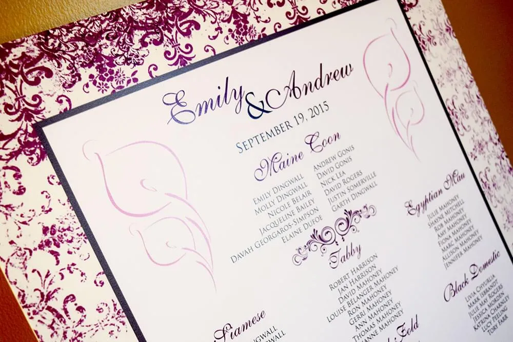Antique Seating Chart closeup