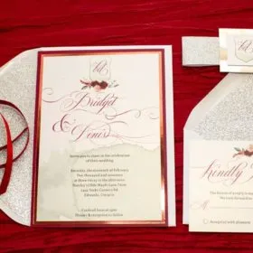 Scarlet and Silver invite suite