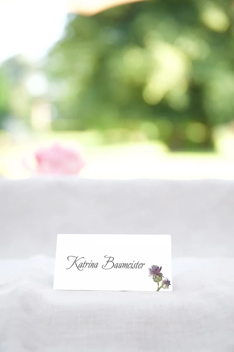 Clover Meadow seating card