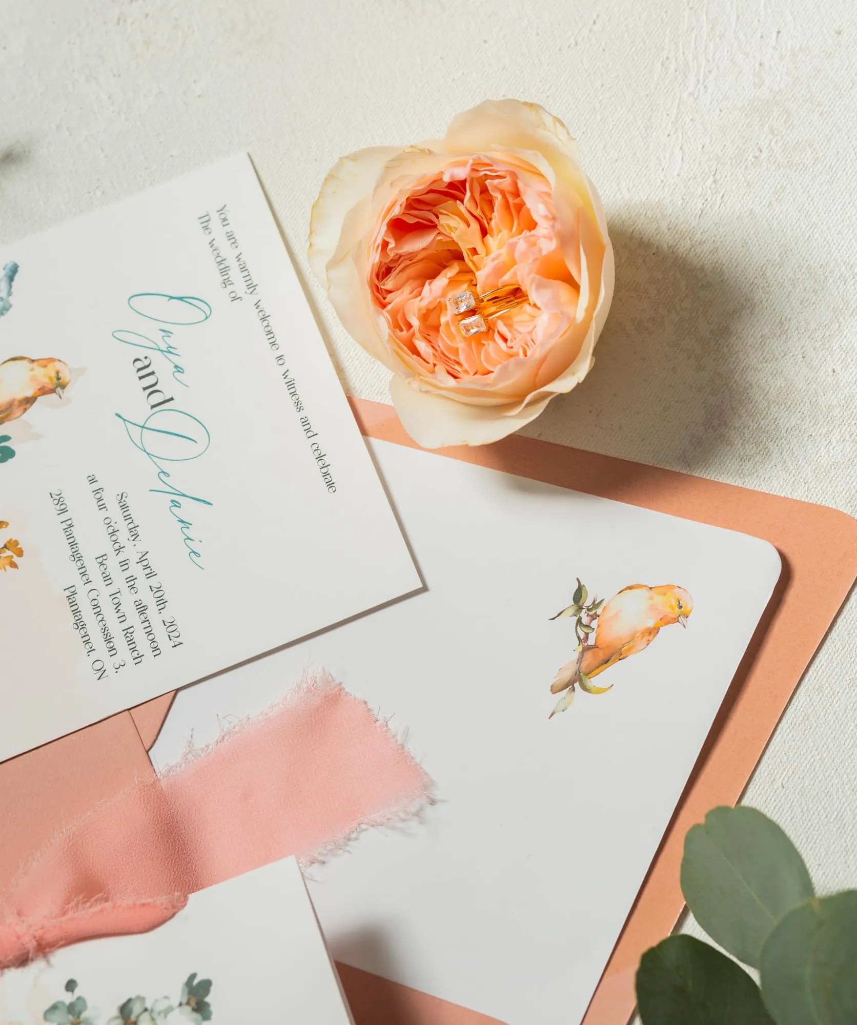 Birds & Blooms details peach