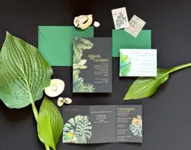 Casablanca Tropics suite