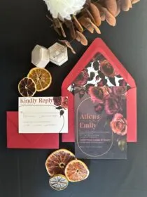 Aticus suite dark with red envelopes and envelope liner